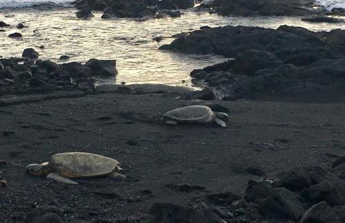 Mauna Kai'iki - Foto 12