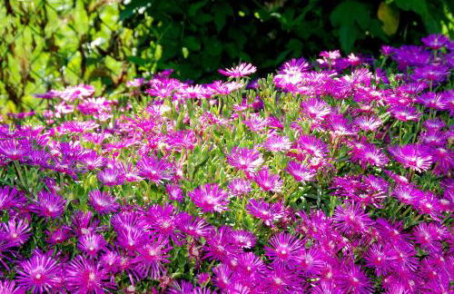 Agriturismo B&B Corte dei Gioghi - Foto 64