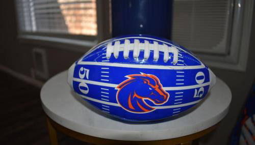 Bsu Playland 3bd 1b Fully Remodeled on Bsu Campus - Foto 2