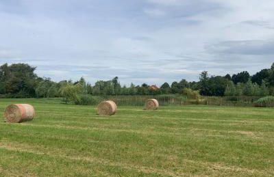 The Woad Mill - Foto 19