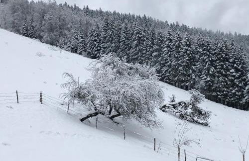 La Guillemette - Foto 14