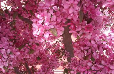 Agriturismo Lama Di Valle Rosa - Photo 78