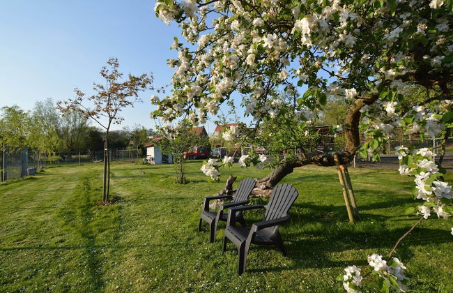 Gypsy Caravan in Weideblick With Farm Animals - Foto 13