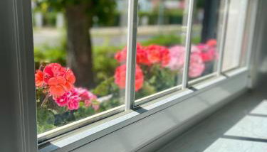 Brot & Auszeit - Foto 4