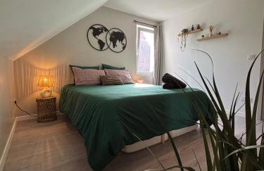 Le Col'Vert - Appartement 50m2 - Colmar Centre - Foto 7