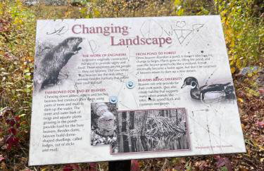 Cozy Log Cabin- W Fireplace - Foto 49