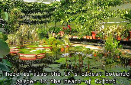 Spacious and stylish with games room, huge garden, peaceful surroundings - Foto 39