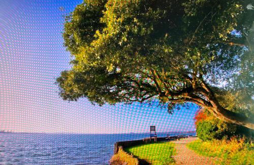 Ten Admiralty Pier - Foto 10