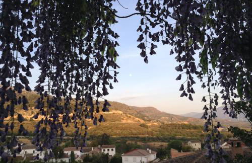 La Kamareta de Chite - Foto 13