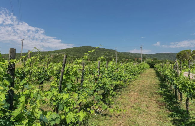 Spacious Holiday Home - Foto 29