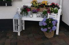 Ferienwohnung-Kiefer - Foto 17