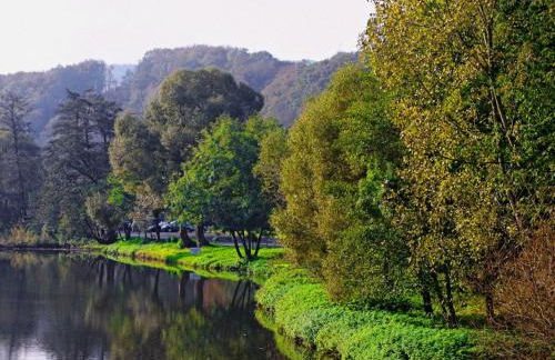 Apartment Chalet Wiedfluh in Waldbreitbach by Interhome - Foto 29