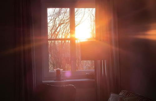 Norderlands - Photo 50