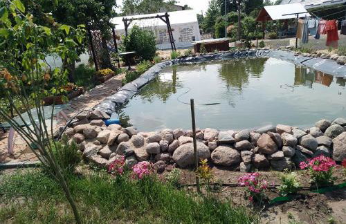 Gospodarstwo agroturystyczne - Foto 57