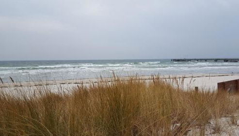 FeWo Machedanz zentrumsnah & ruhig Timmendorfer Strand - Foto 4