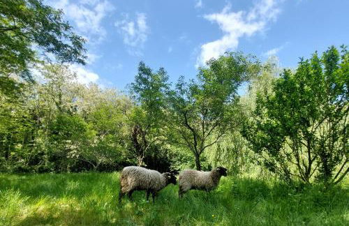 Clos des Loriots - Foto 28