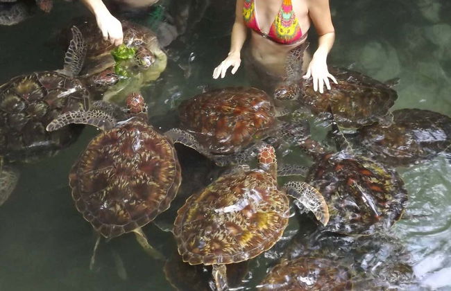 Escursione al villaggio di Nungwi - Foto 1