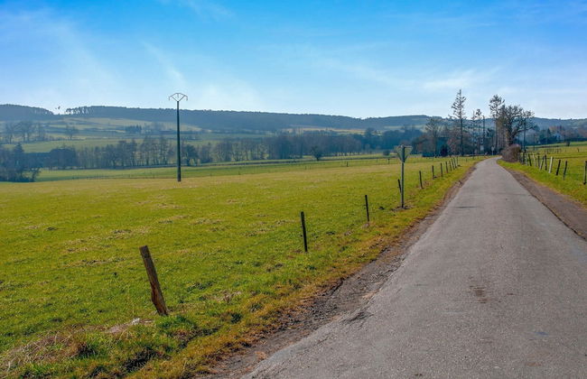 The Waltz of the Chickadees in Somme Leuze - Foto 50