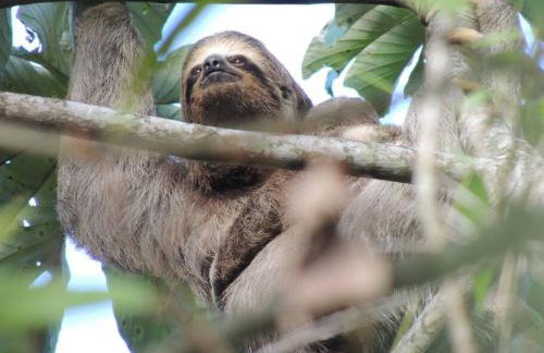 Praia Guaratuba Condominio Costa do Sol Portaria 24hs - 600mt da praia - Foto 26