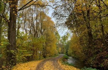 Pino24 Ferienwohnungen mit Pool und Sauna - Foto 57