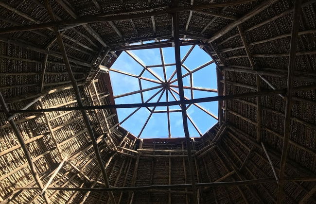 Ayahuaska - Photo 21