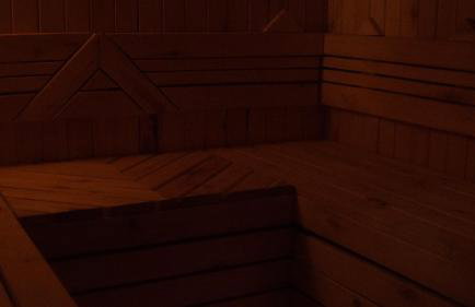 Biały Las Magiczna Stara Chata Puszcza Białowieska - Foto 38