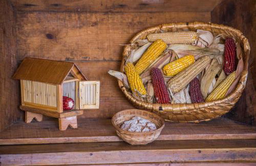 Cabanelas Country House - Casa do Afonso - Foto 30