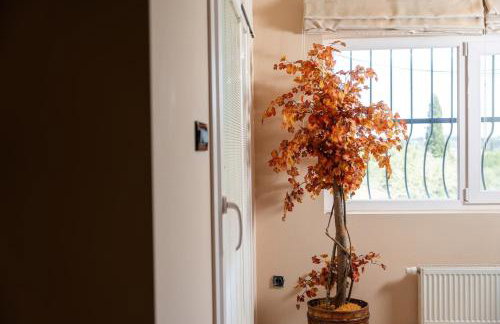 Paula Cozy Villa in Corfu - Foto 14