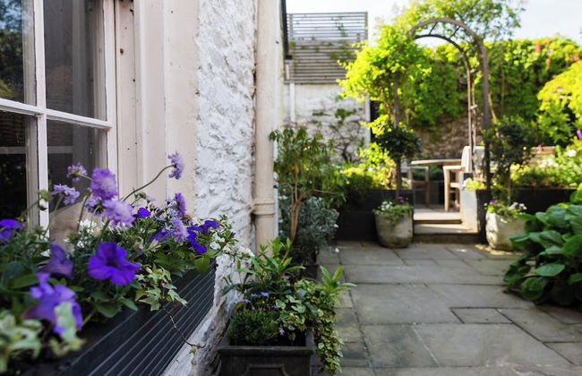 Blue Monkey - Foto 31