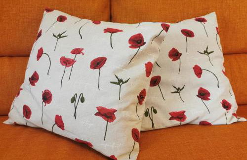 Maso Tofolaci - Foto 16