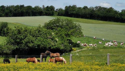 Gite Du Colombier - Foto 5