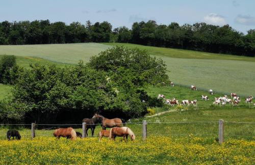 Gite Du Colombier - Foto 5