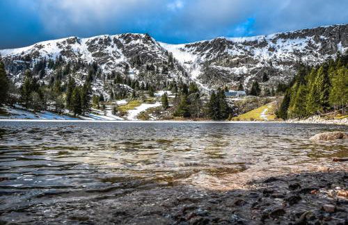 Le Chalet du Tanet spa sauna terrasse en Alsace - Foto 62