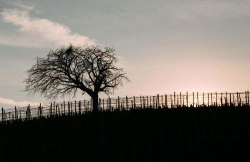 Casa villetta "La Colomba" Nizza Monferrato - Foto 67
