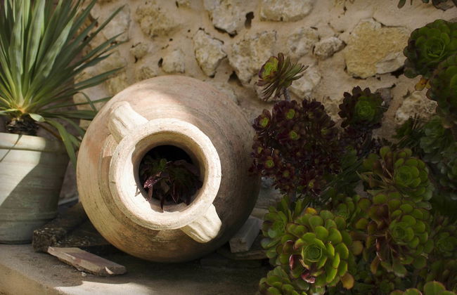 Agriturismo Baglio San Nicola - Foto 44