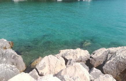 Apartments Novak - Photo 5