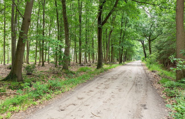 Attractive Holiday Home in Gorp and Roovert Estate - Photo 76