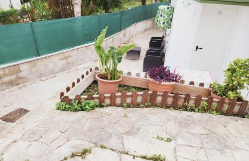 Apartaments Segur Kandy 1 - Foto 11