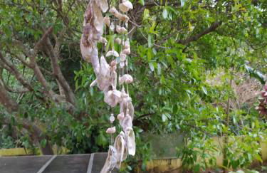 RECANTO RAVI - Foto 28