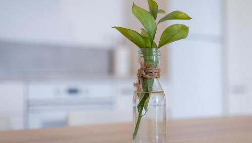 La Lajita Barca Beach Ocean - Foto 4