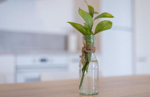 La Lajita Barca Beach Ocean - Photo 4