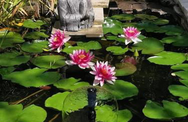 BELLE VILLA Piscine 120 m2, 8 pers, 3 belles chambres Près d'Aix-en-Provence - Foto 77