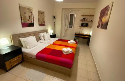 Patras Palm Tree - Foto 23