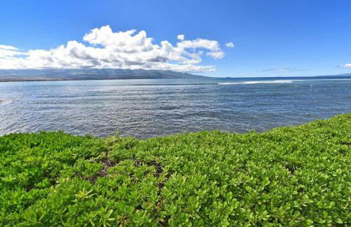 Island Sands 210 · IS 210 OceanFront Condo Expansive Ocean Views - Foto 70