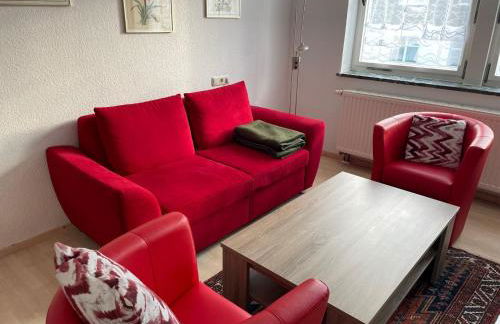 Natur pur im Erzgebirge - Foto 3