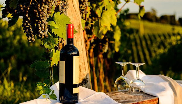 From Bologna: Chianti wine Experience with lunch - Photo 4