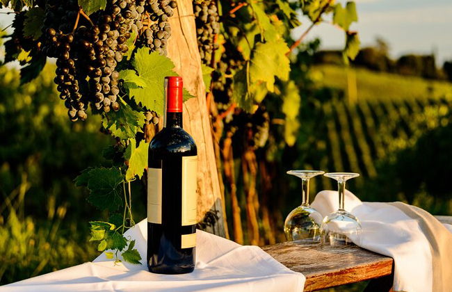 From Bologna: Chianti wine Experience with lunch - Photo 4