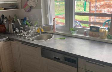 Komorzański Łabędz - Foto 7