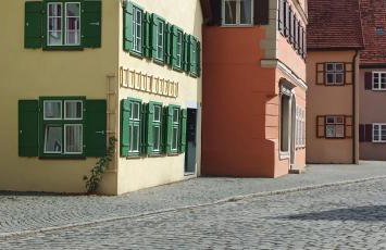 Dornröschen - Foto 3