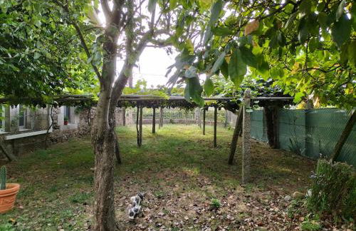 Casa Rural A Telleira - Foto 17